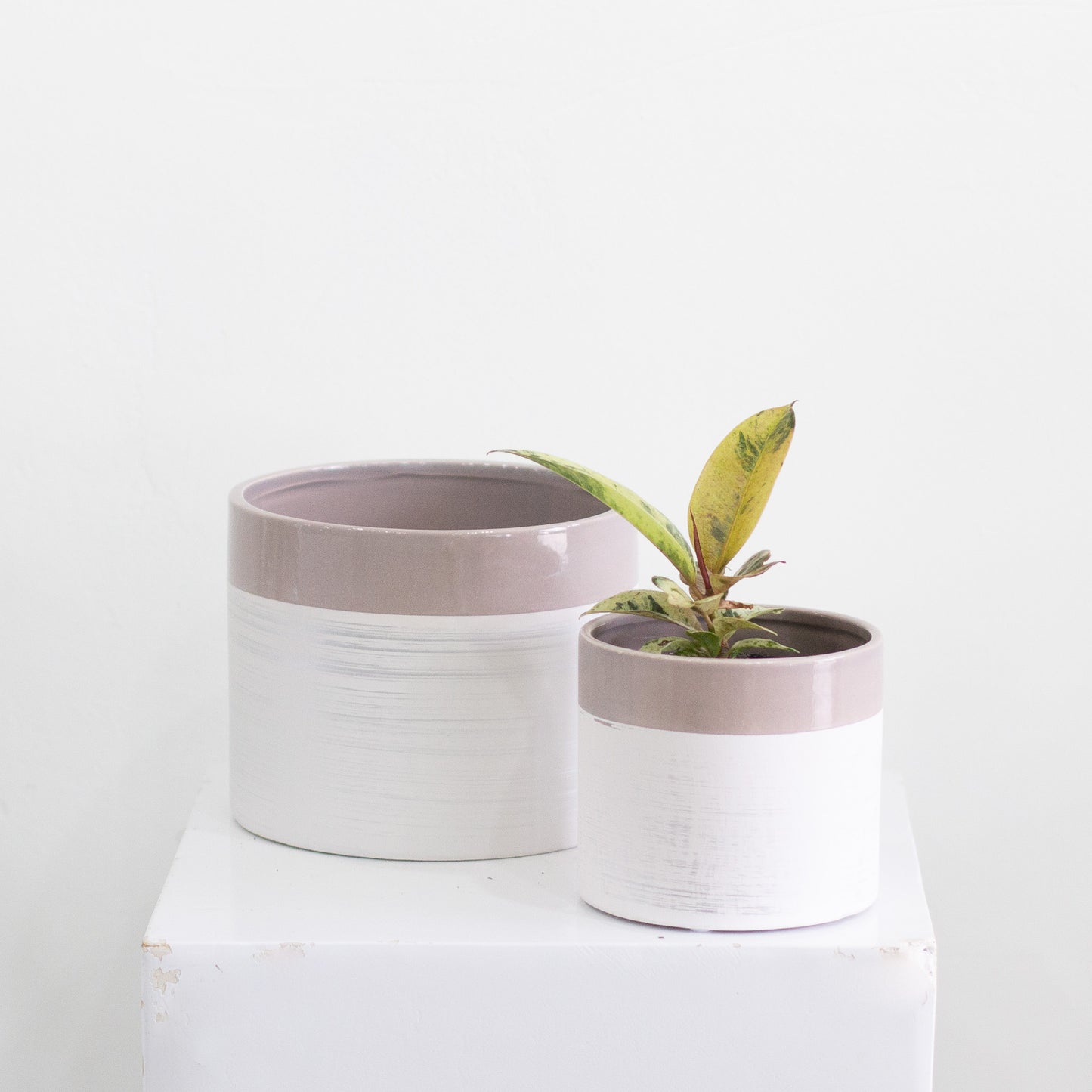 Jannings Pot, Large