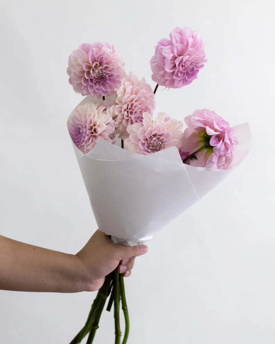 Seasonal Market Bundle