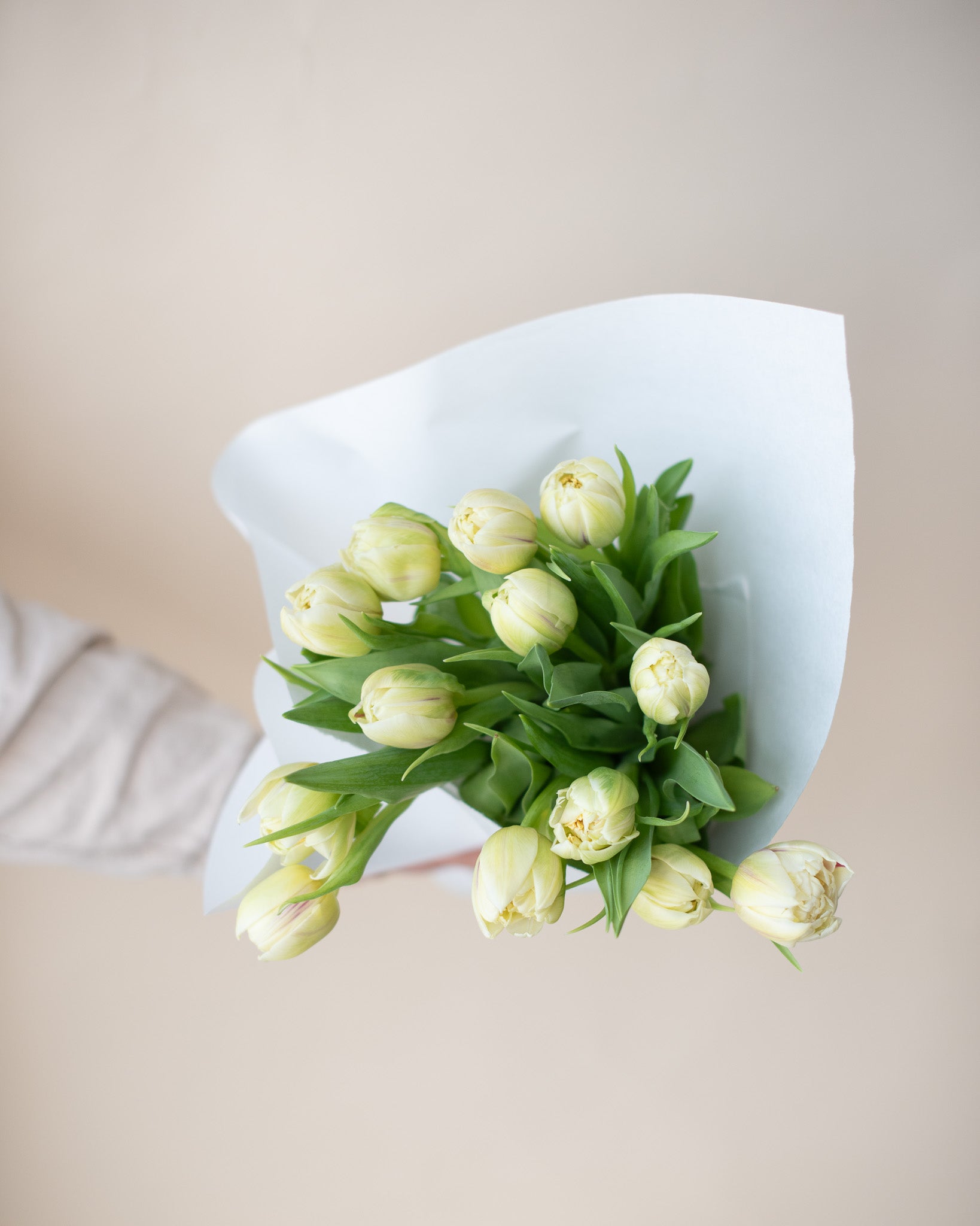 Seasonal Market Bundle