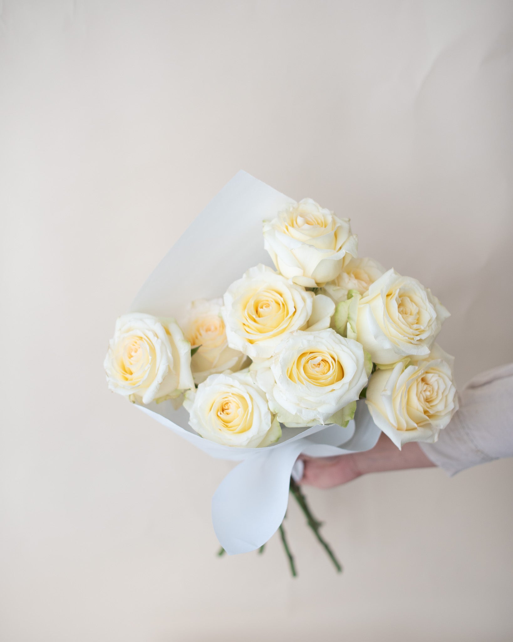 Seasonal Market Bundle