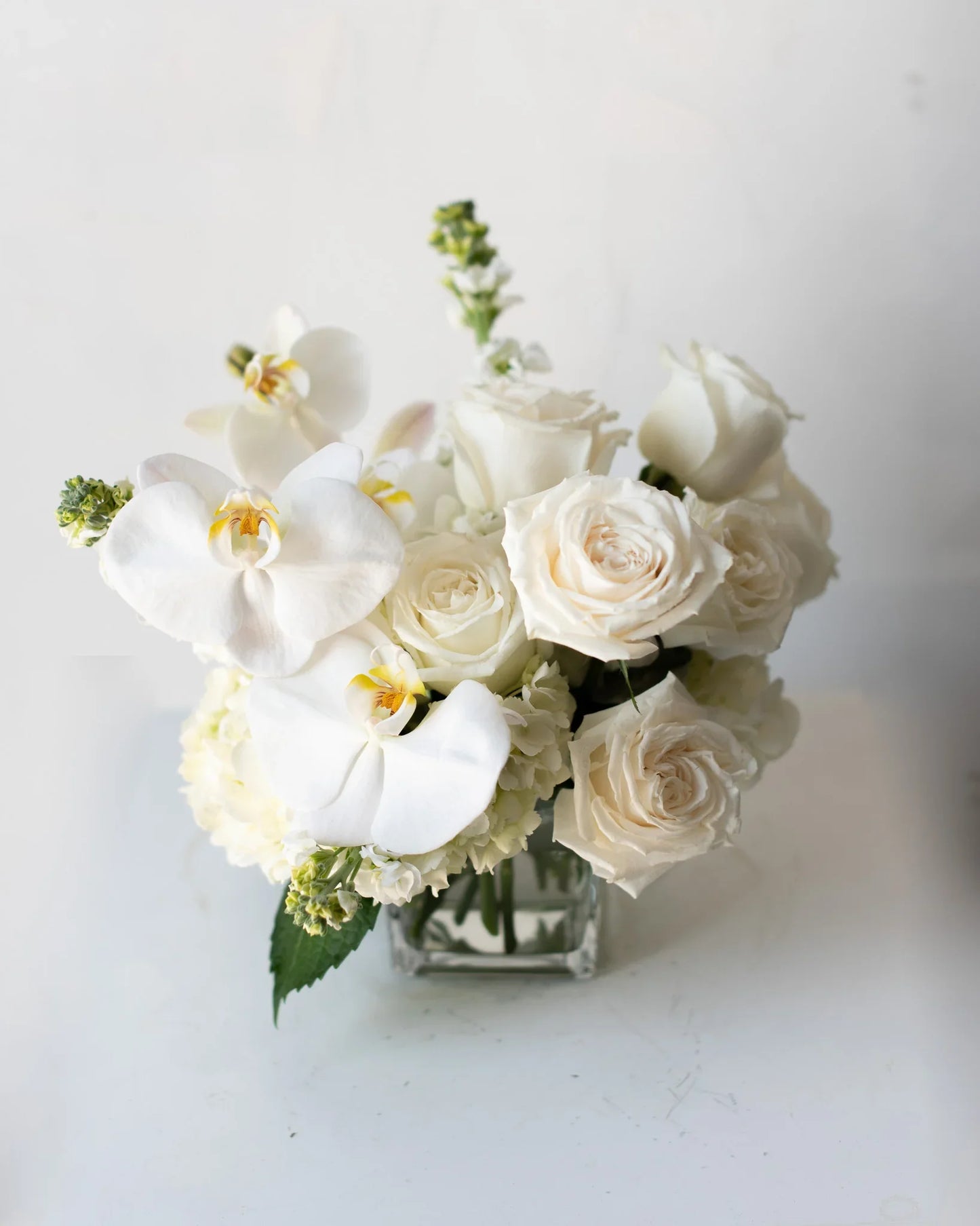 Coconut Cream Mini Vase