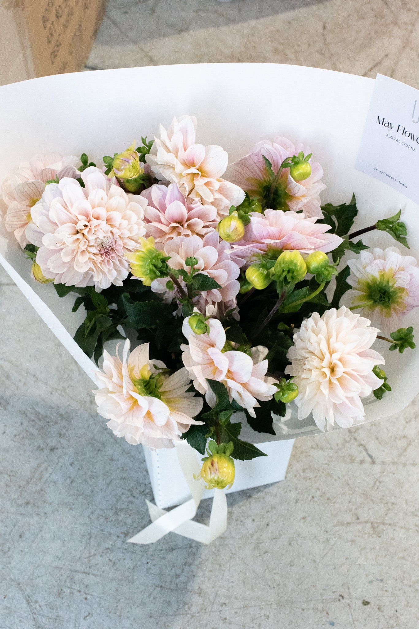The MF Signature Hand-Tied Plan