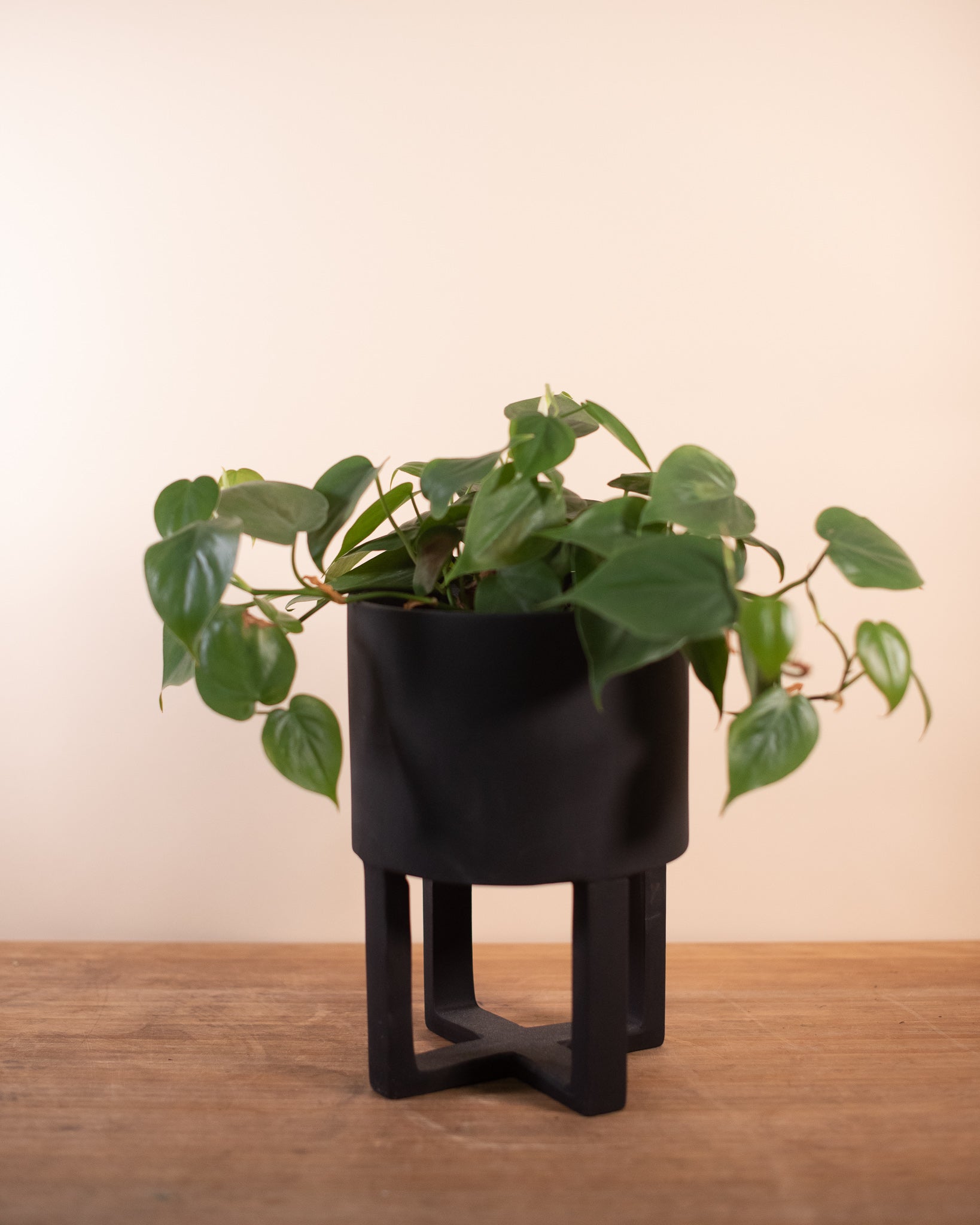 Santurce Footed Pot 7" x 10"