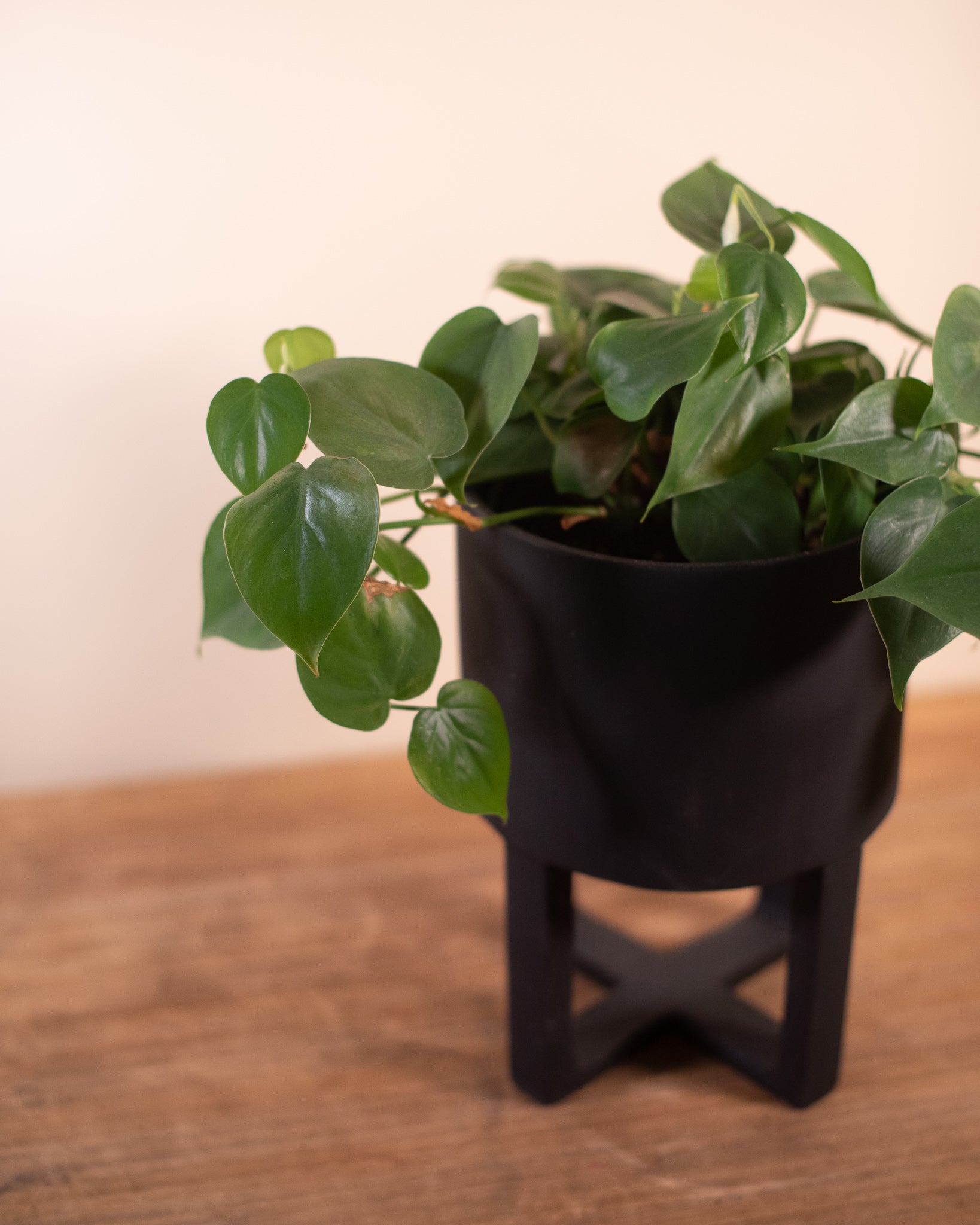 Santurce Footed Pot 7" x 10"