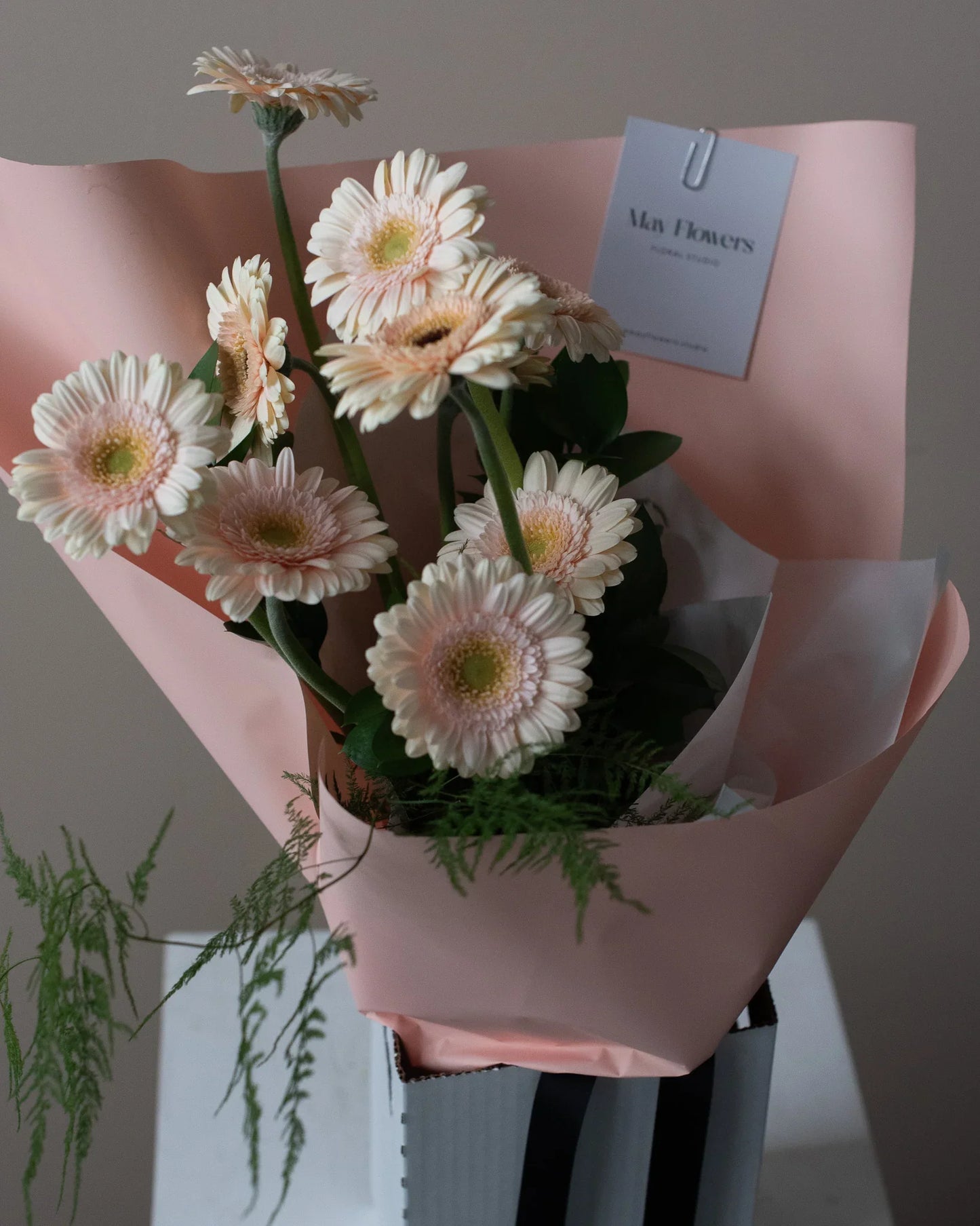 Wrapped Daisy Bouquet - May Flowers