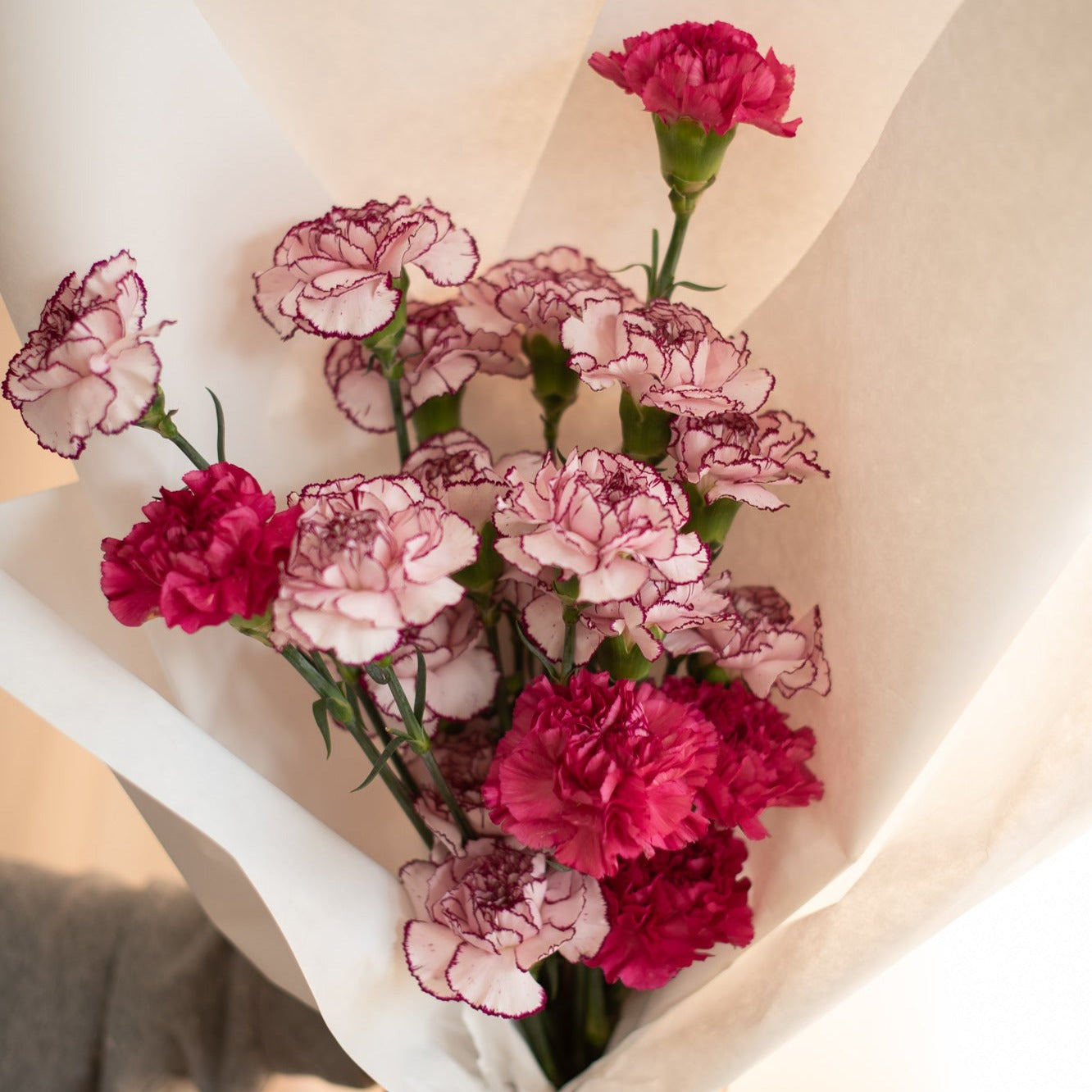 Mix Carnation Bundle