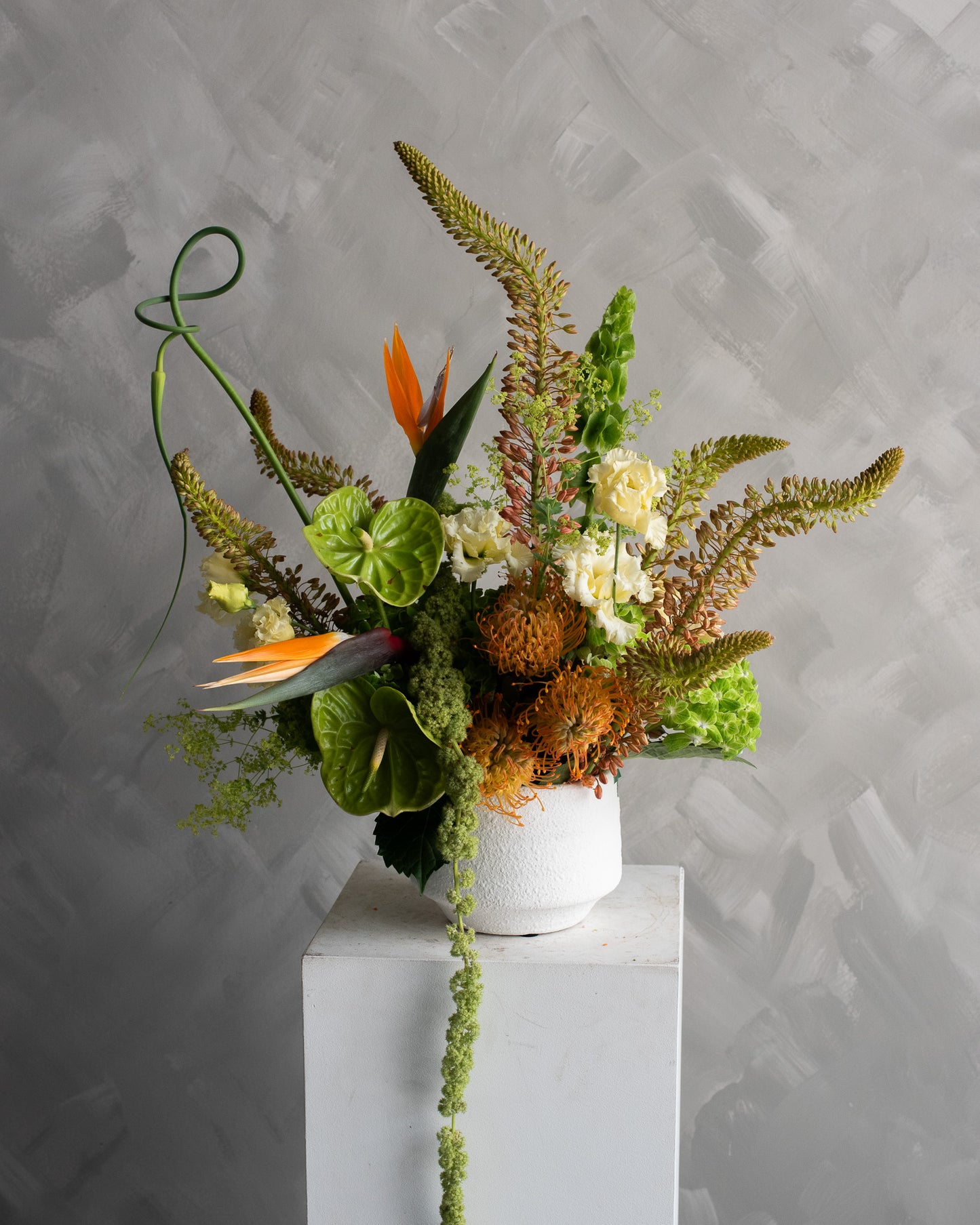 Tropica