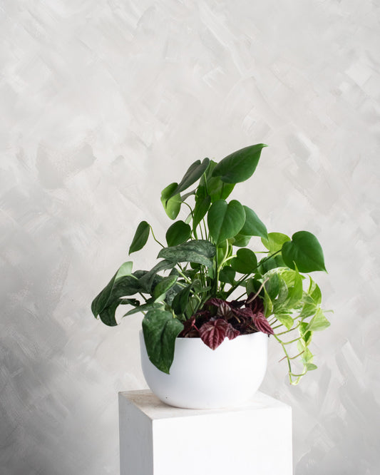 Living Garden