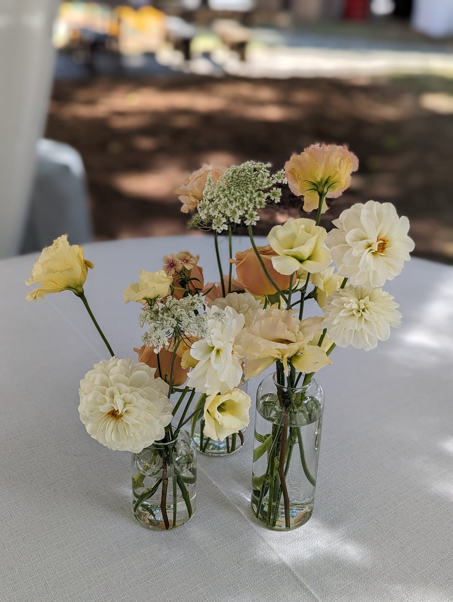 Glass Bud Vase, Set of 3