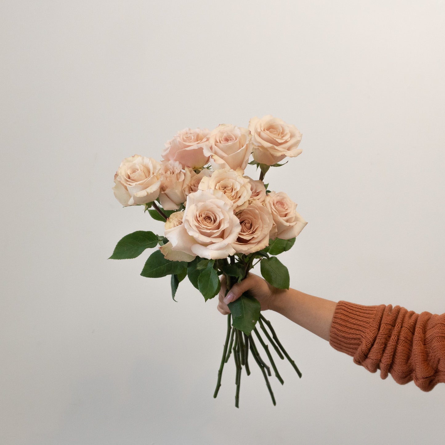 Quicksand Rose Bundle