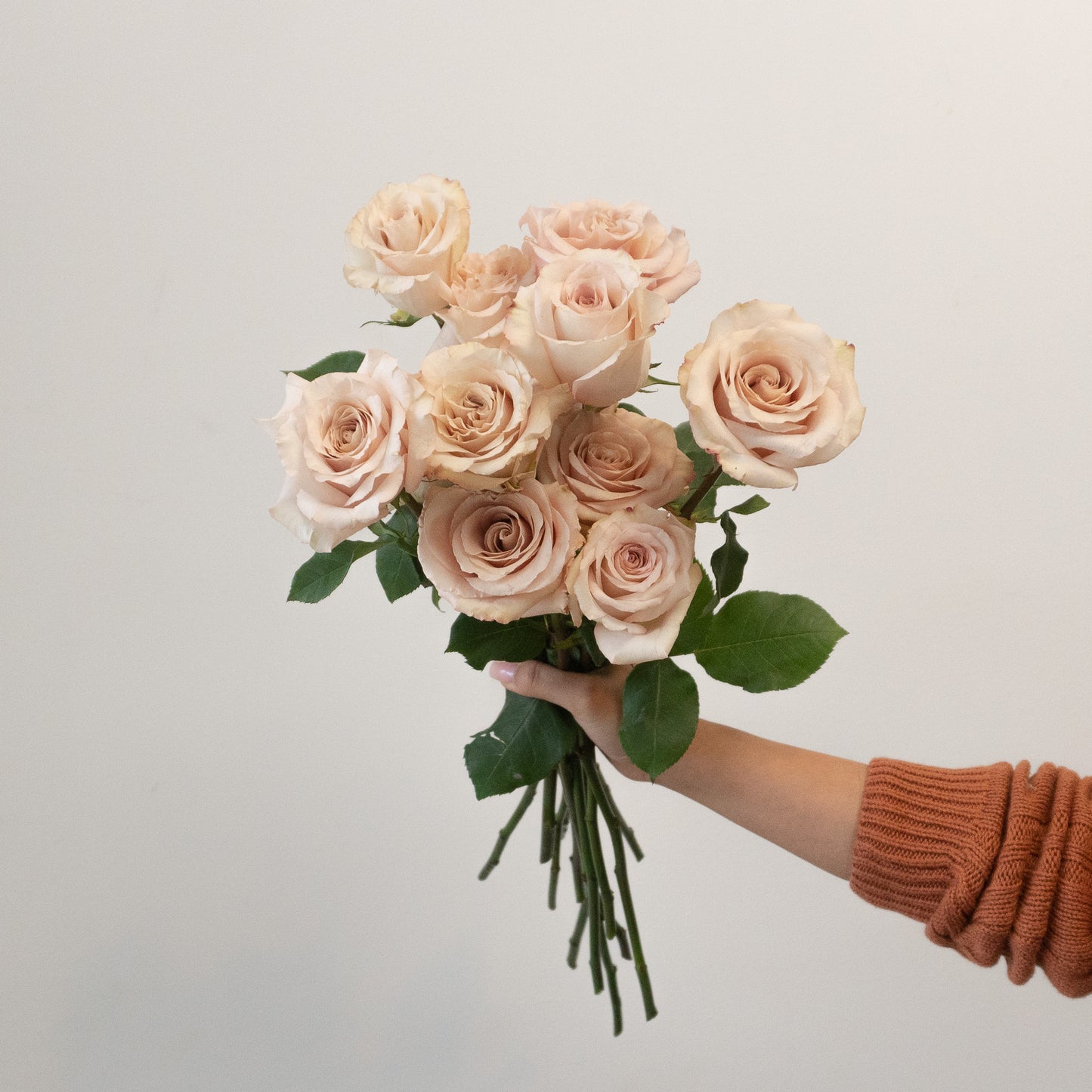 Quicksand Rose Bundle