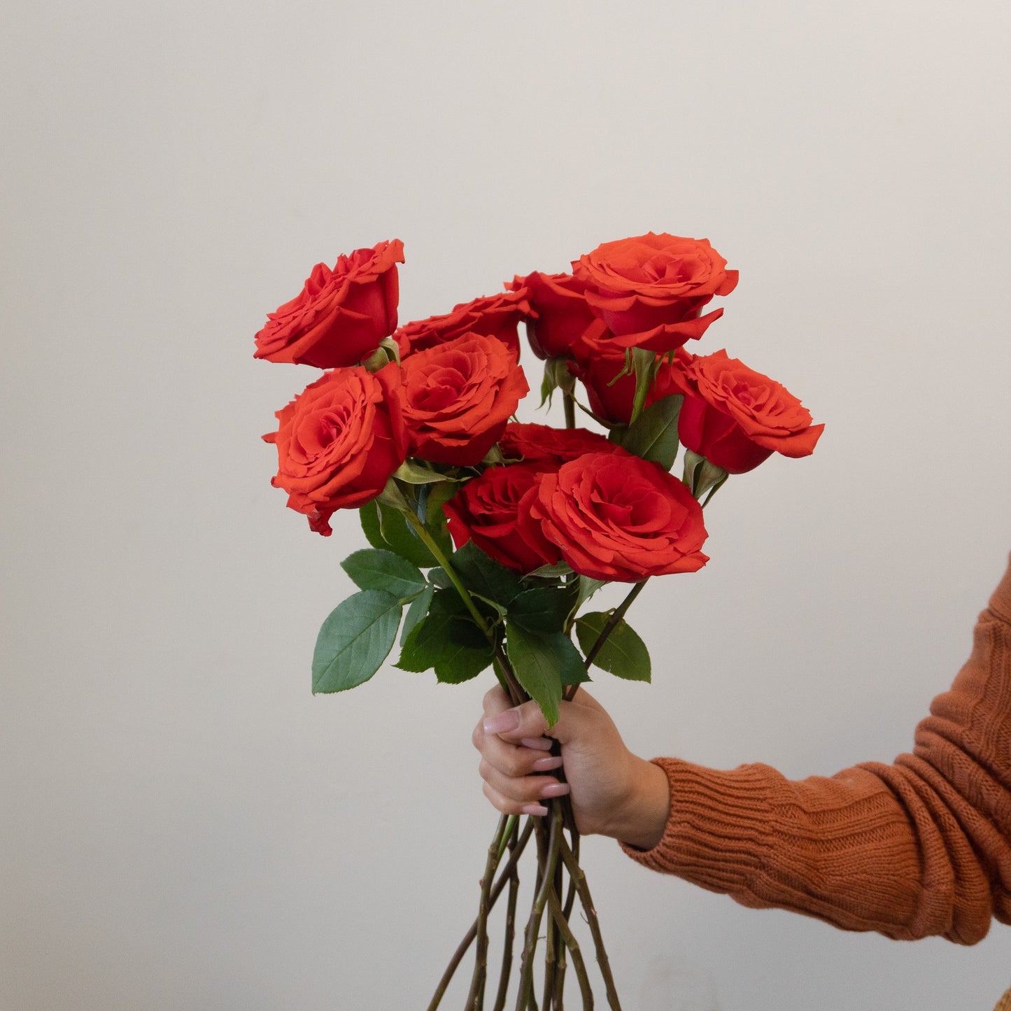 Classic Dozen Red Rose Bundle