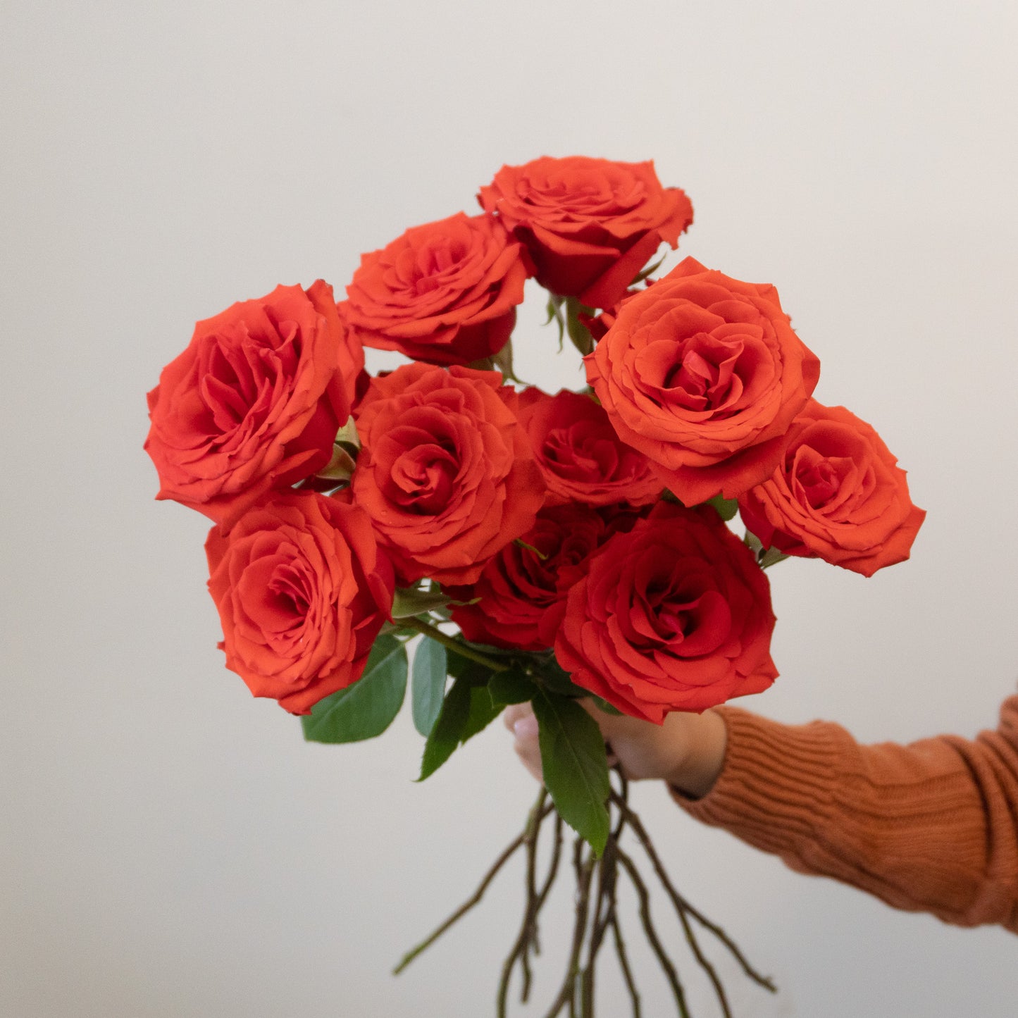 Classic Dozen Red Rose Bundle