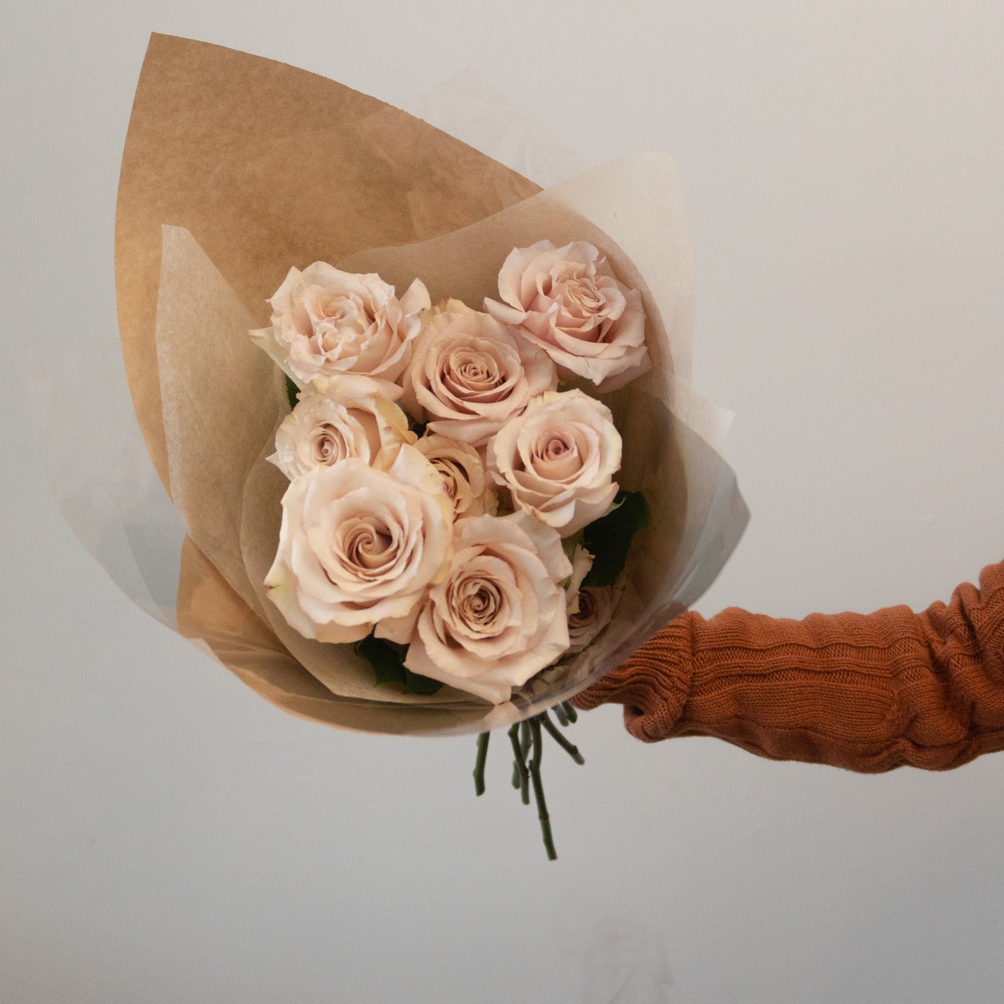 Quicksand Rose Bundle