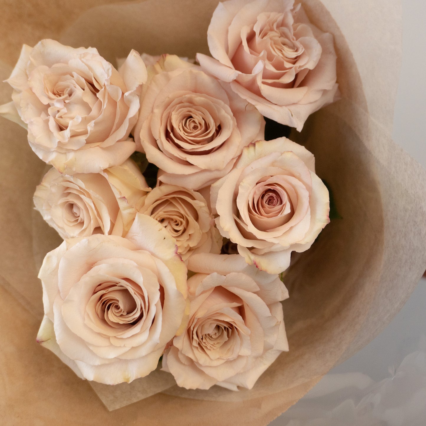 Quicksand Rose Bundle