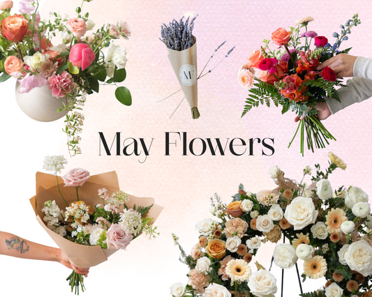 Why You’ll Love May Flowers, Toronto’s Best Florist