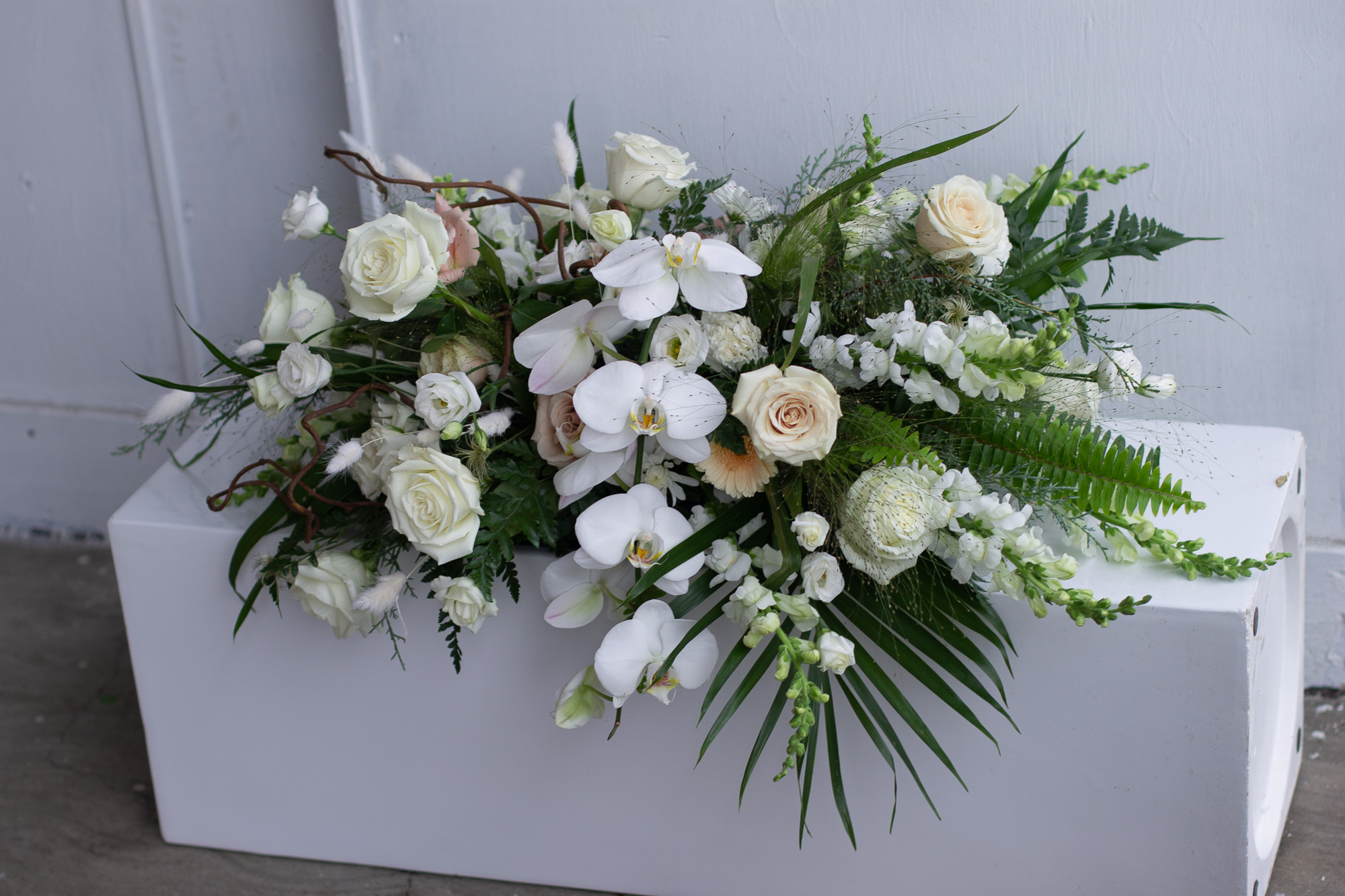 Sympathy & Funeral