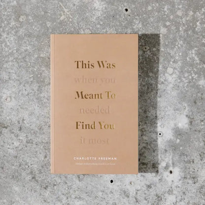 This Was Meant To Find You (When You Needed It Most) by Charlotte Freeman