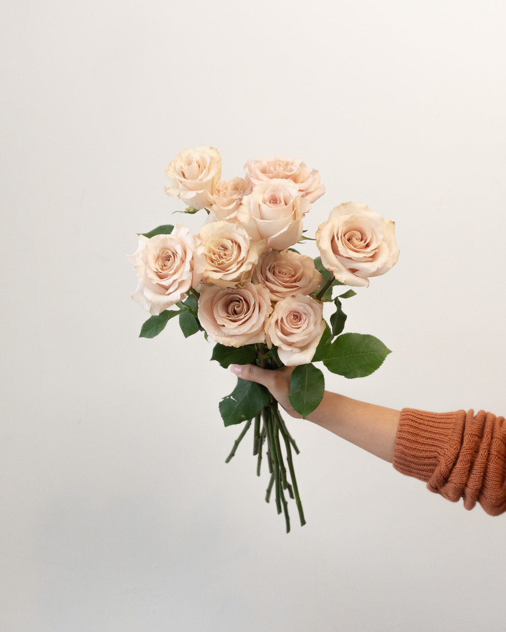 The Rose Lover's Plan