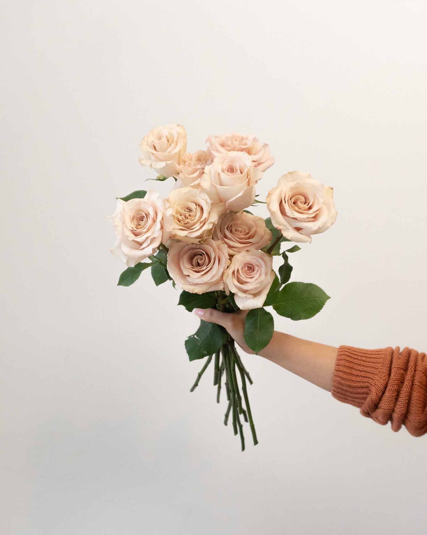 The Rose Lover's Plan