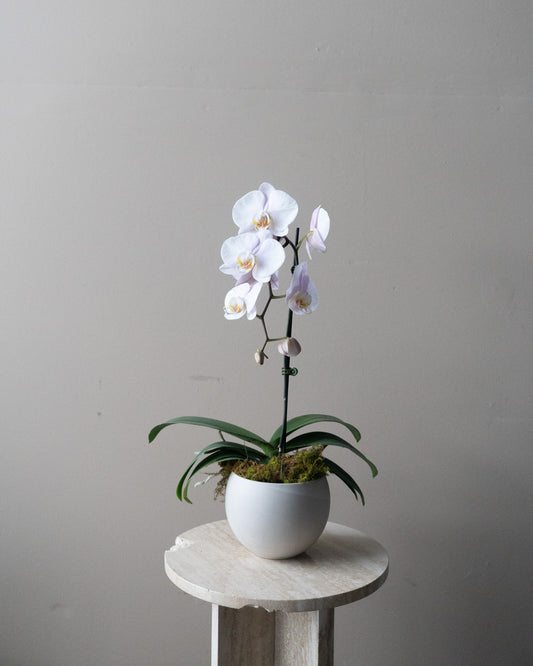 Cascading Orchid Bowl