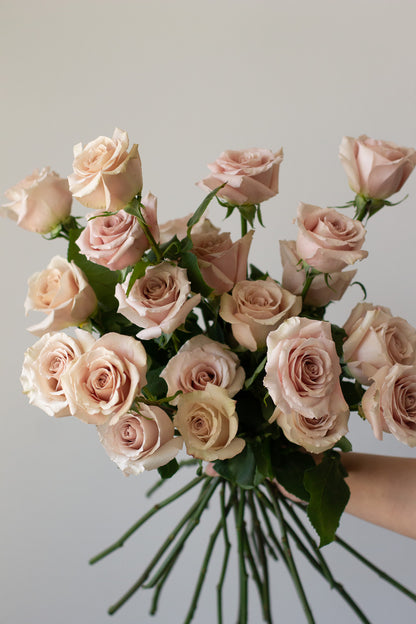 The Rose Lover's Plan