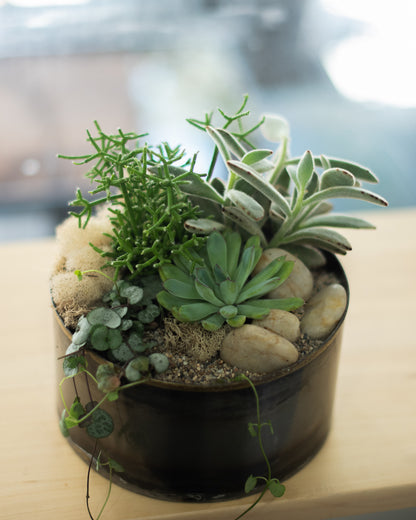 Desert Garden Planter