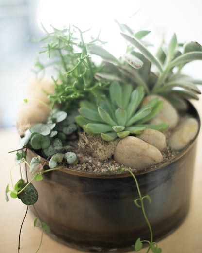 Desert Garden Planter