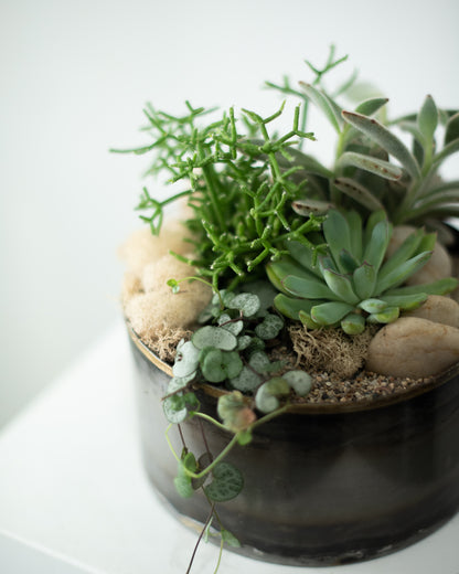 Desert Garden Planter