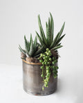 Mini Succulent Planter