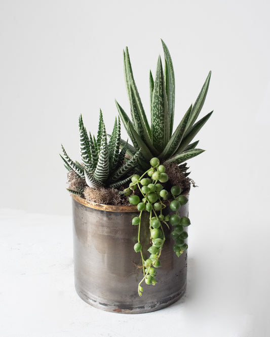 Mini Succulent Planter