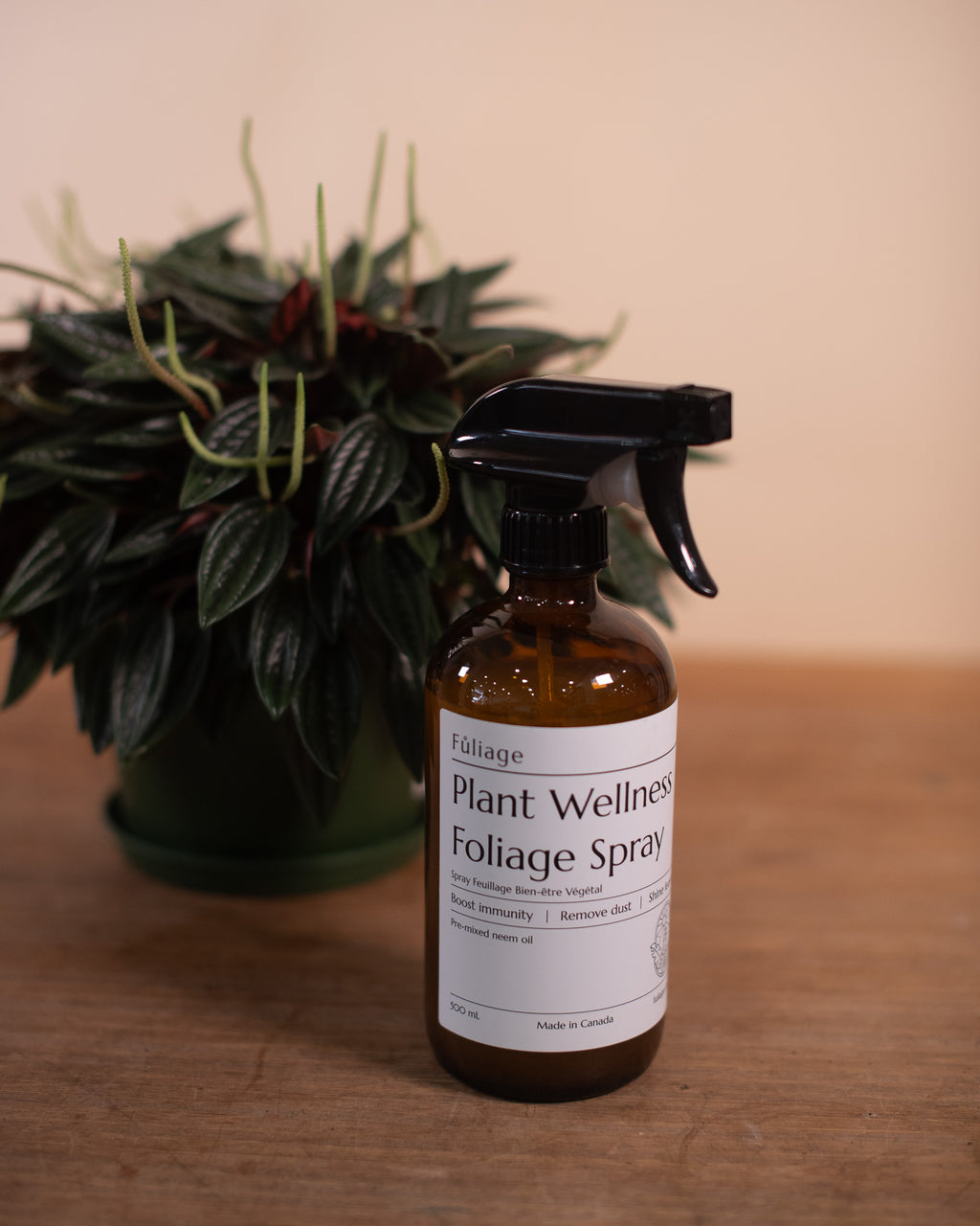 Plant Wellness Foliage Spray by Fuliage