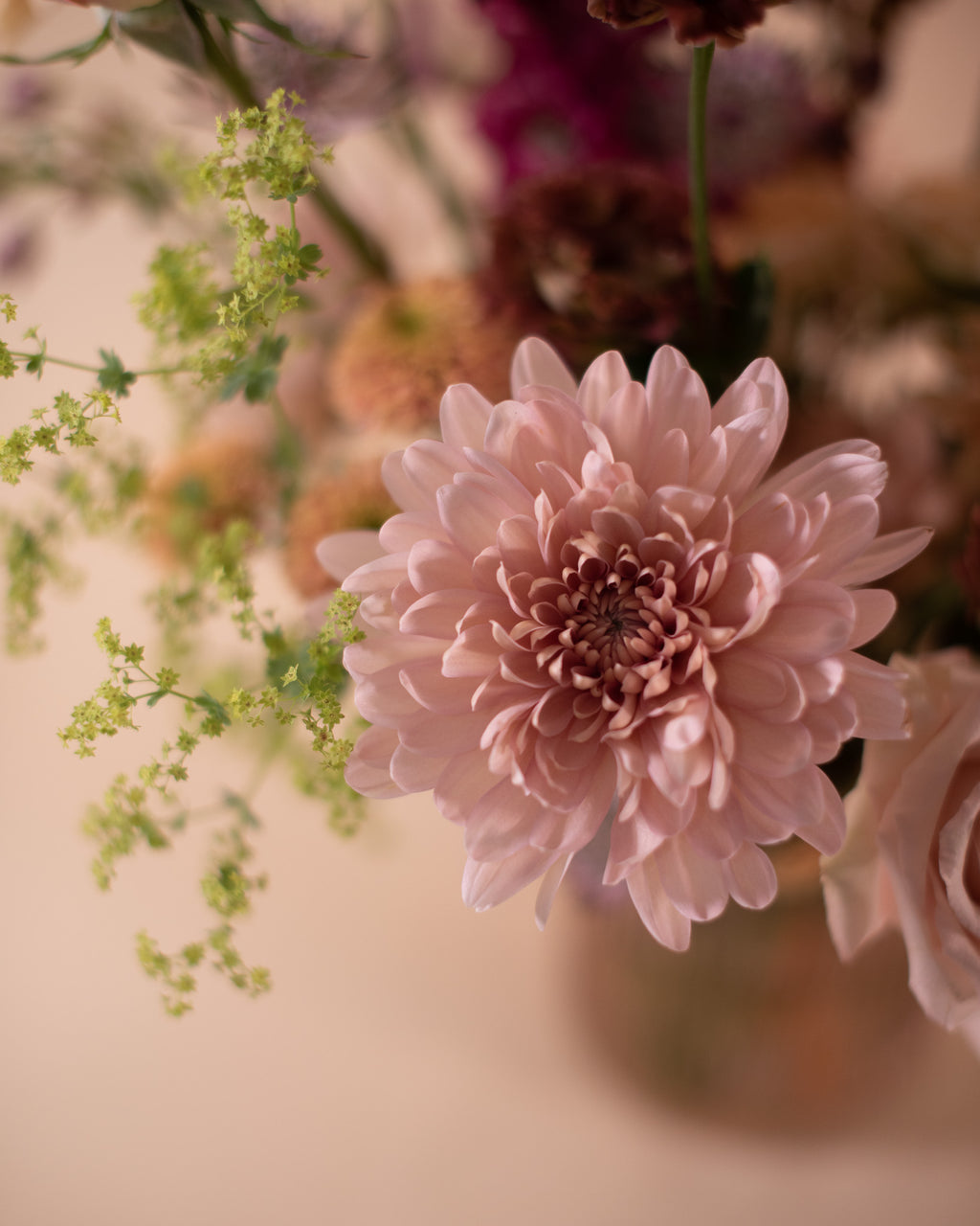 The Rosette