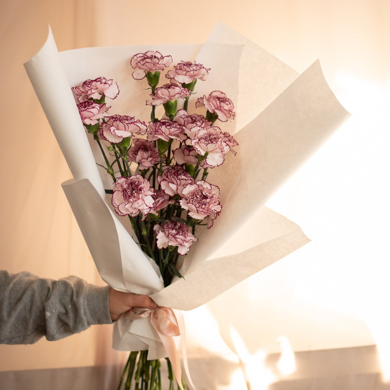 Mix Carnation Bundle