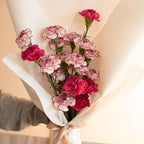 Mix Carnation Bundle
