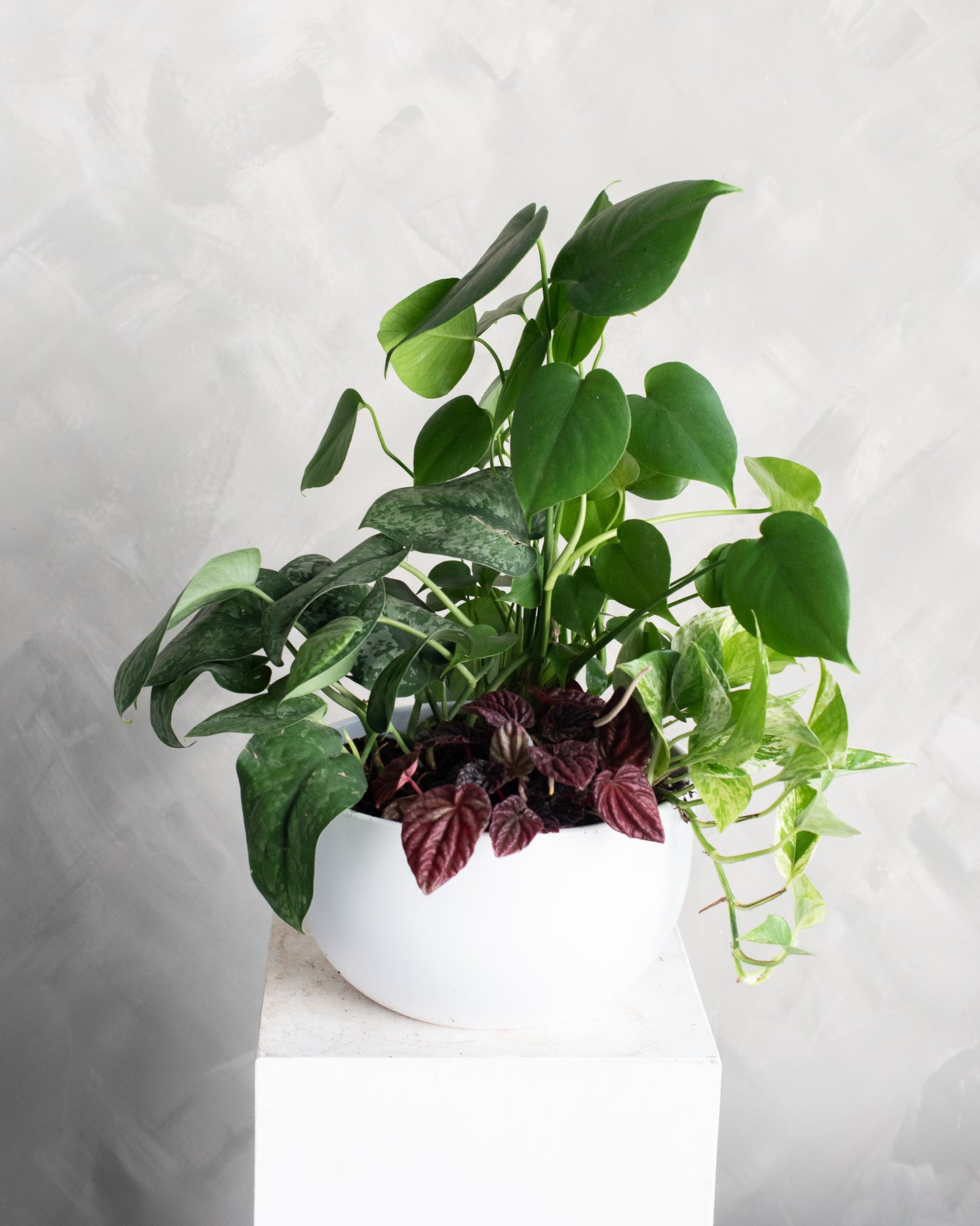 Living Garden