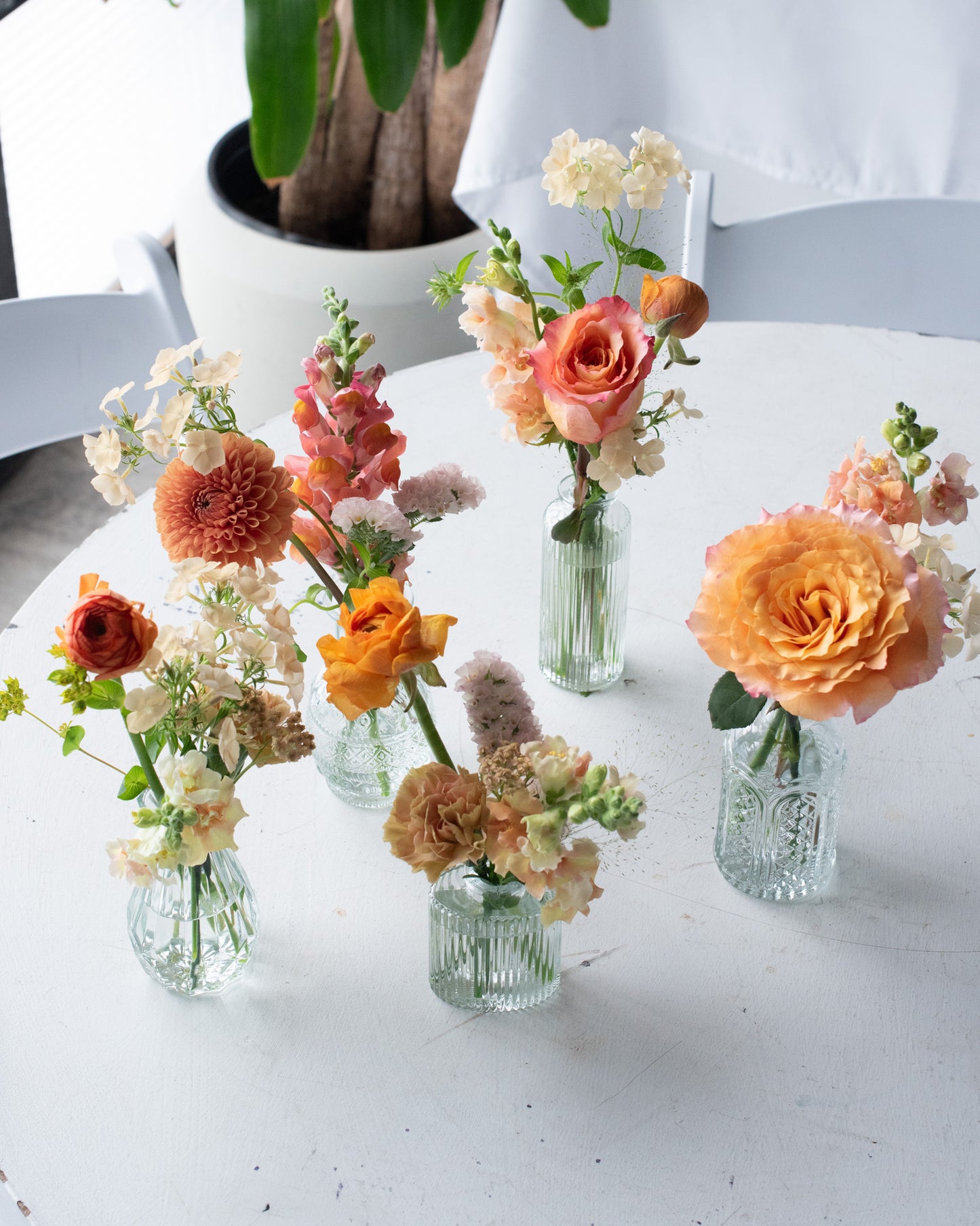 Glass Bud Vase, Set of 5