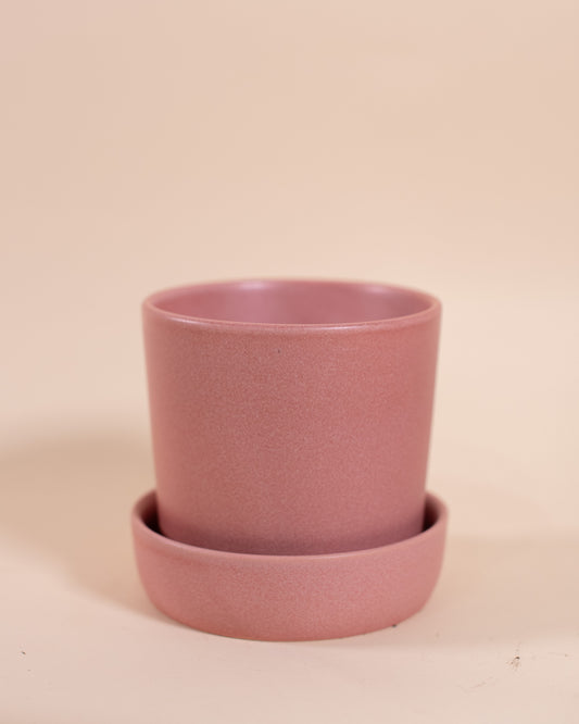 Watson Pot 5.25" x 5", Pink