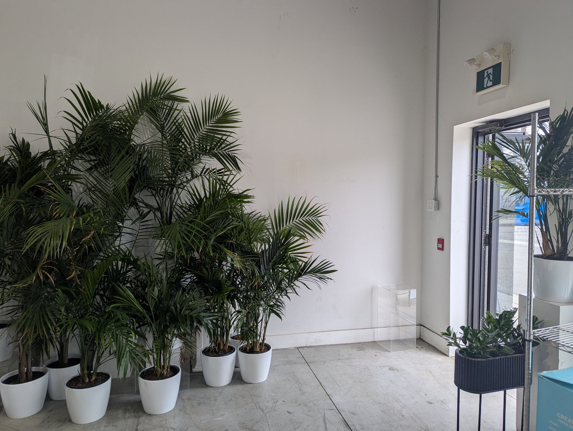 Rent our Studio